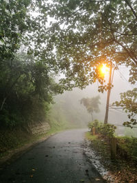 Road amidst trees against sky