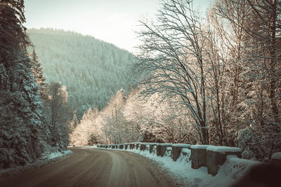 Road amidst trees in forest during winter