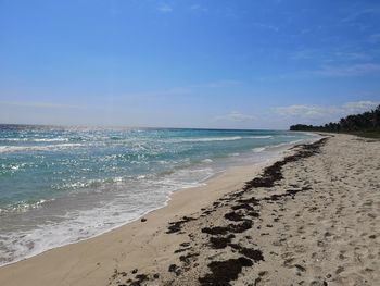 Scenic view of beach against sky