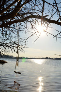 Reflection of trees in water