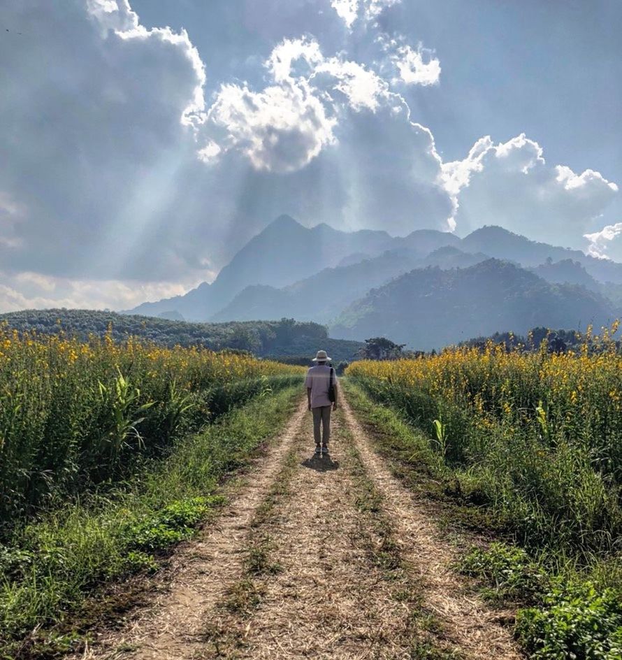 one person, plant, beauty in nature, rear view, real people, direction, the way forward, scenics - nature, mountain, lifestyles, nature, landscape, cloud - sky, tranquil scene, environment, sky, day, growth, tranquility, land, diminishing perspective, outdoors