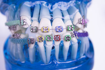 Close-up of artificial teeth