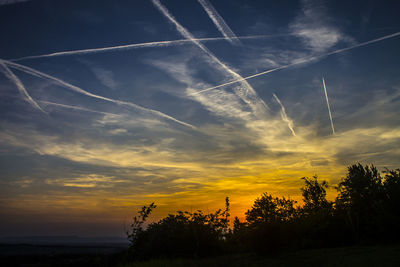 Silhouette trees against dramatic sky during sunset