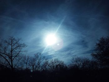 Low angle view of trees against sky