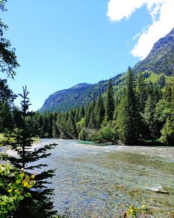 Scenic view of river in forest against blue sky