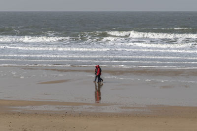 Rear view of person standing on beach