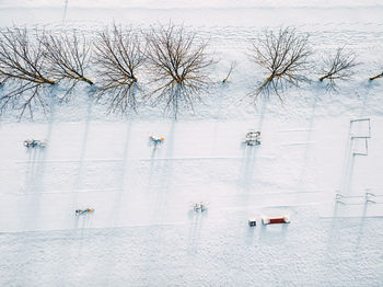 Bare tree on snow covered landscape