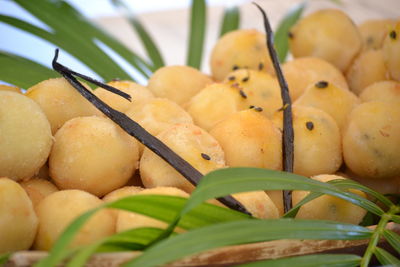 Close-up of fresh vegetables in plate