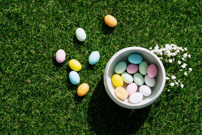 High angle view of multi colored eggs on field