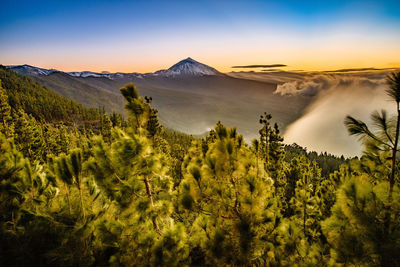 Scenic view of landscape against sky during sunset