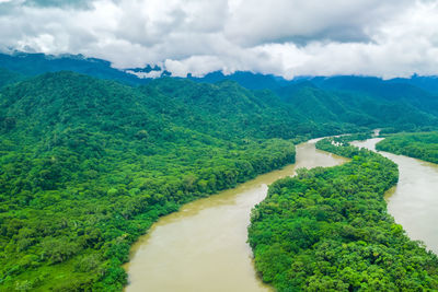 environment
