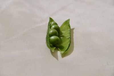 High angle view of green chili pepper on table