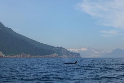 Scenic view of sea and mountains