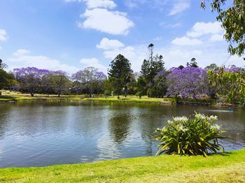 Scenic view of lake by trees against sky
