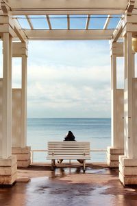 Rear view of man looking at sea while sitting on wooden bench 