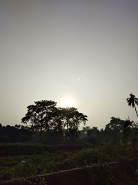 Trees on field against clear sky