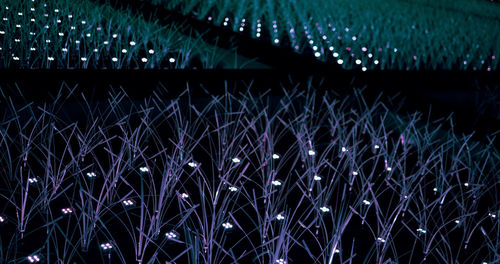 Full frame shot of illuminated lights on grass