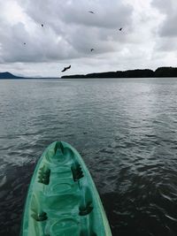 Close-up of birds flying over sea against sky