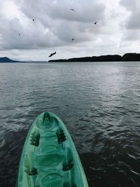 Close-up of birds flying over sea against sky