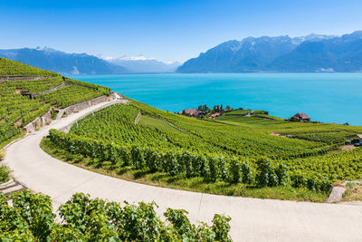 Scenic view of landscape and mountains against sky