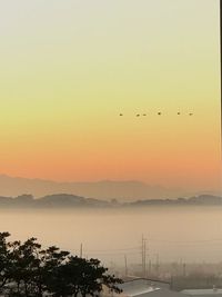 Silhouette birds flying over lake against sky during sunset