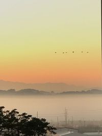 Silhouette birds flying over lake against sky during sunset