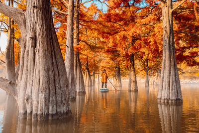 Scenic view of lake during autumn