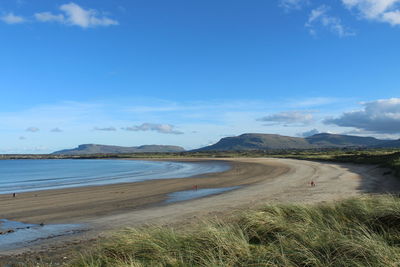 Scenic view of beach against blue sky