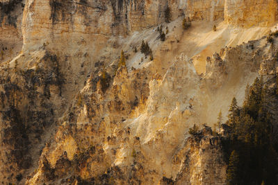 Grand canyon of the yellowstone yellow textured cliff walls with jagged rocks and other natural 