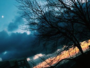 Low angle view of bare tree against sky at night