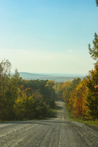 Road by trees against clear sky