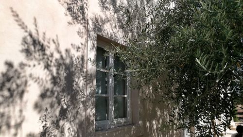 Close-up of house by trees against sky