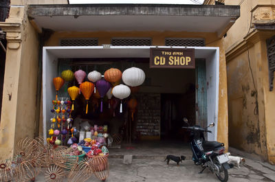 Various flowers in market against building