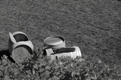 High angle view of plants growing on field