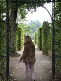 Woman standing by tree against plants