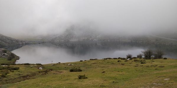 Scenic view of landscape against sky during foggy weather