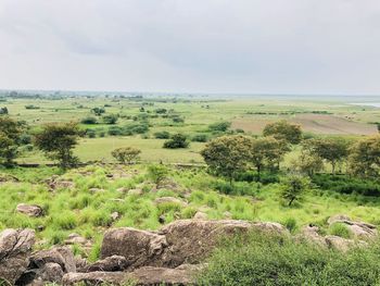 Scenic view of field against sky