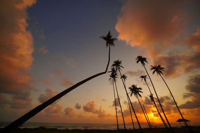 Silhouette palm trees against sky during sunset