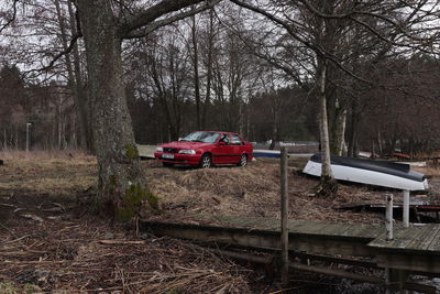 Abandoned cars on field in forest