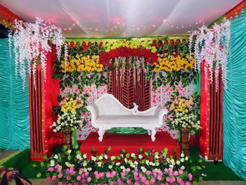 Multi colored flowering plants hanging on wall