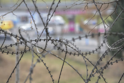 Close-up of barbed wire fence against blurred background