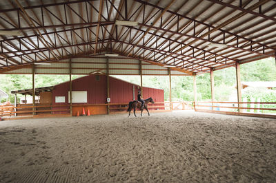 Rear view of woman riding horse in ranch