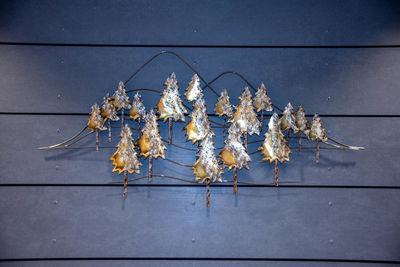 High angle view of white flowers on table