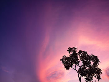 Low angle view of silhouette tree against sky during sunset