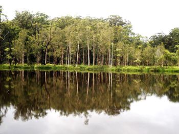 Reflection of trees in lake against sky