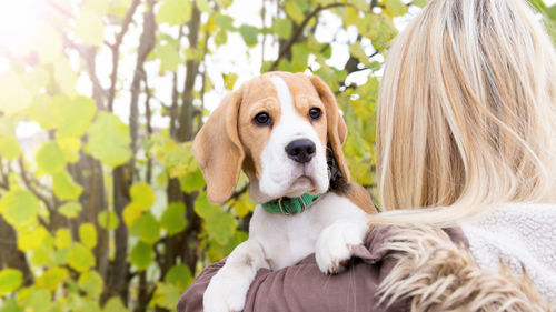 Portrait of cute dog outdoors