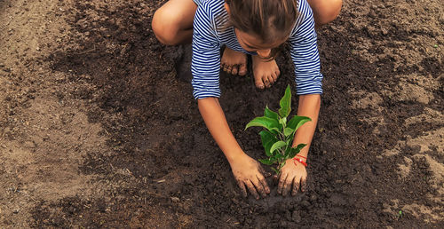 High angle view of boy standing on field