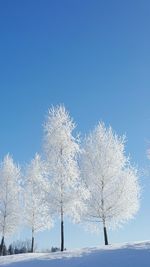 Low angle view of water against clear blue sky