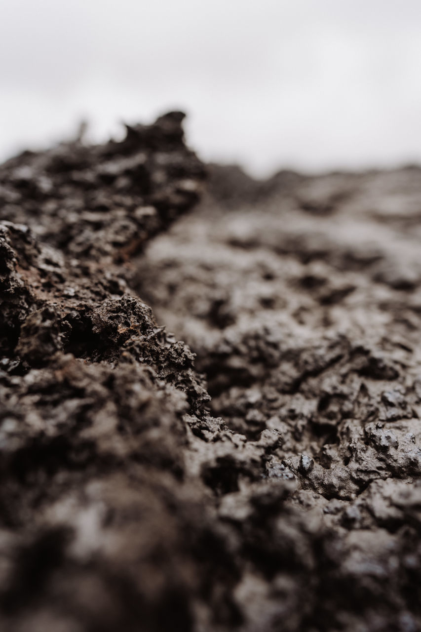 soil, rock, nature, close-up, black and white, selective focus, black, monochrome, land, no people, monochrome photography, sky, macro photography, day, outdoors, environment, sand, beach, white, landscape, dirt, sea, textured, tranquility, water, leaf, scenics - nature