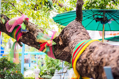 Midsection of multi colored cat against trees